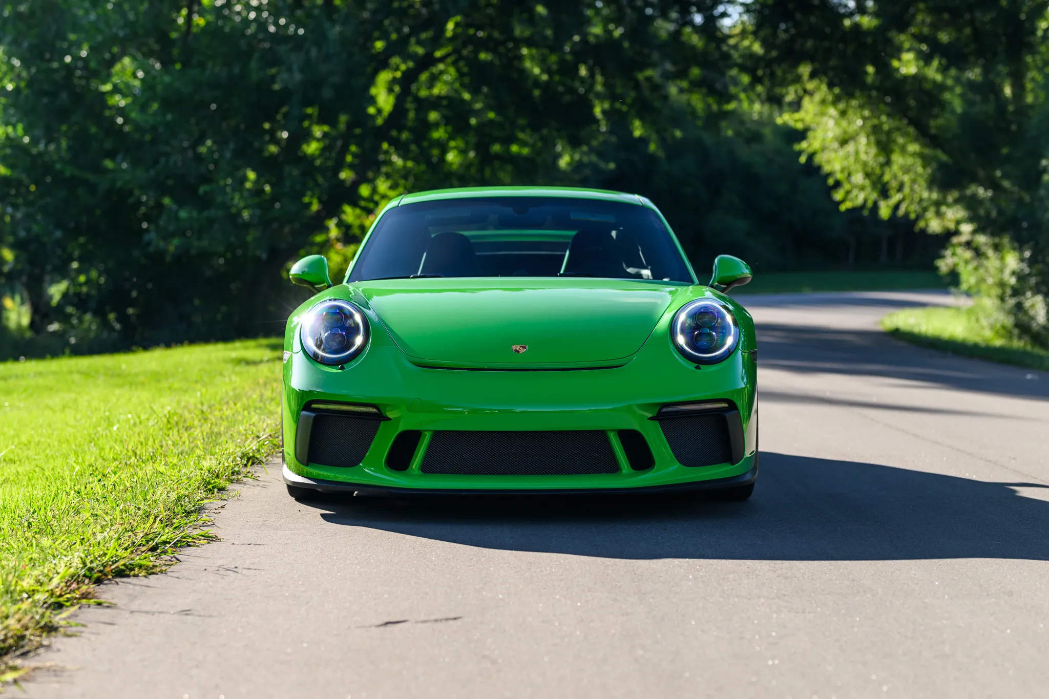 2018 Porsche 911 GT3 in Green Yellow