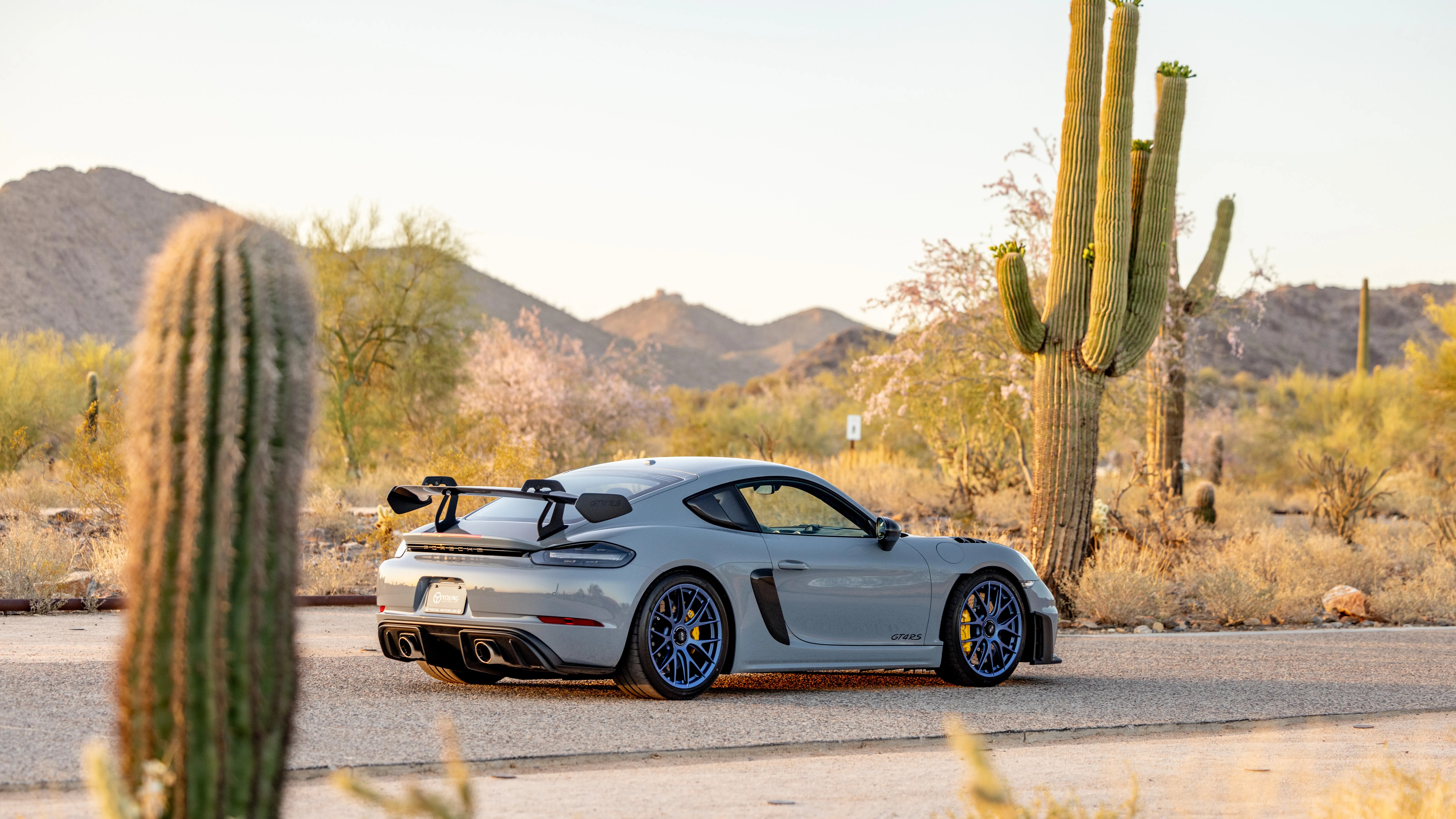 2023 Porsche 718 Cayman GT4 RS Weissach in Arctic Grey