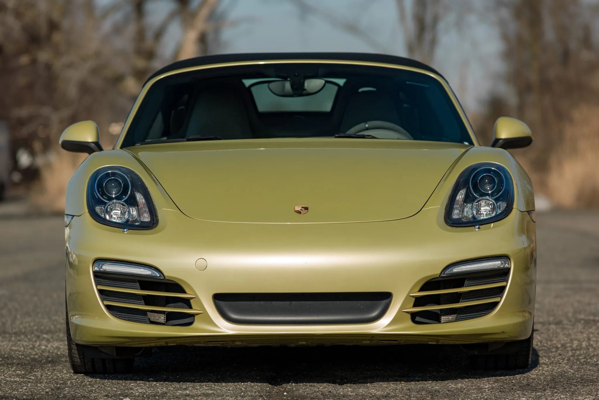 2013 Porsche Boxster in Lime Gold Metallic