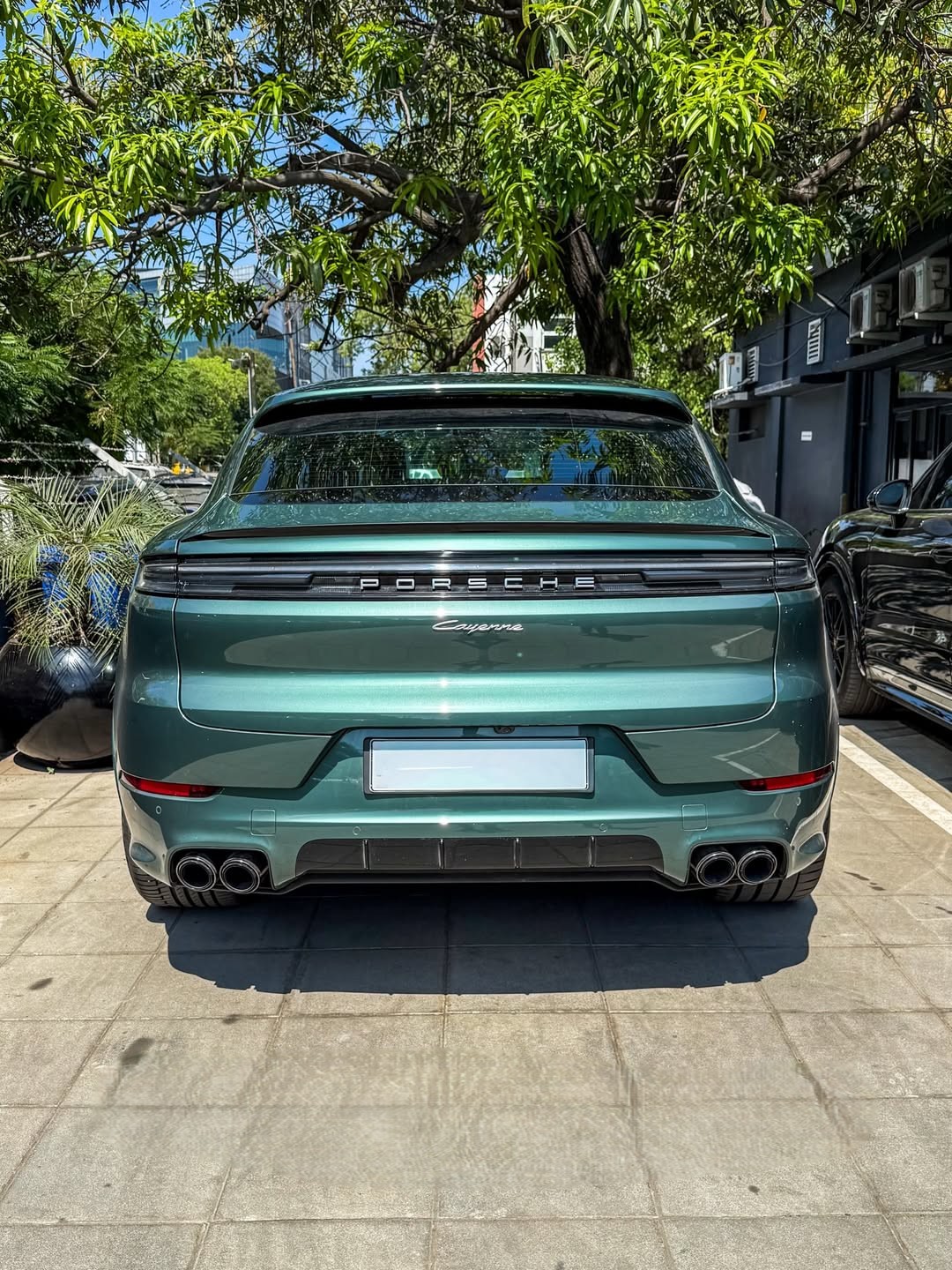 2025 Porsche Cayenne in Morning Dew Green Metallic