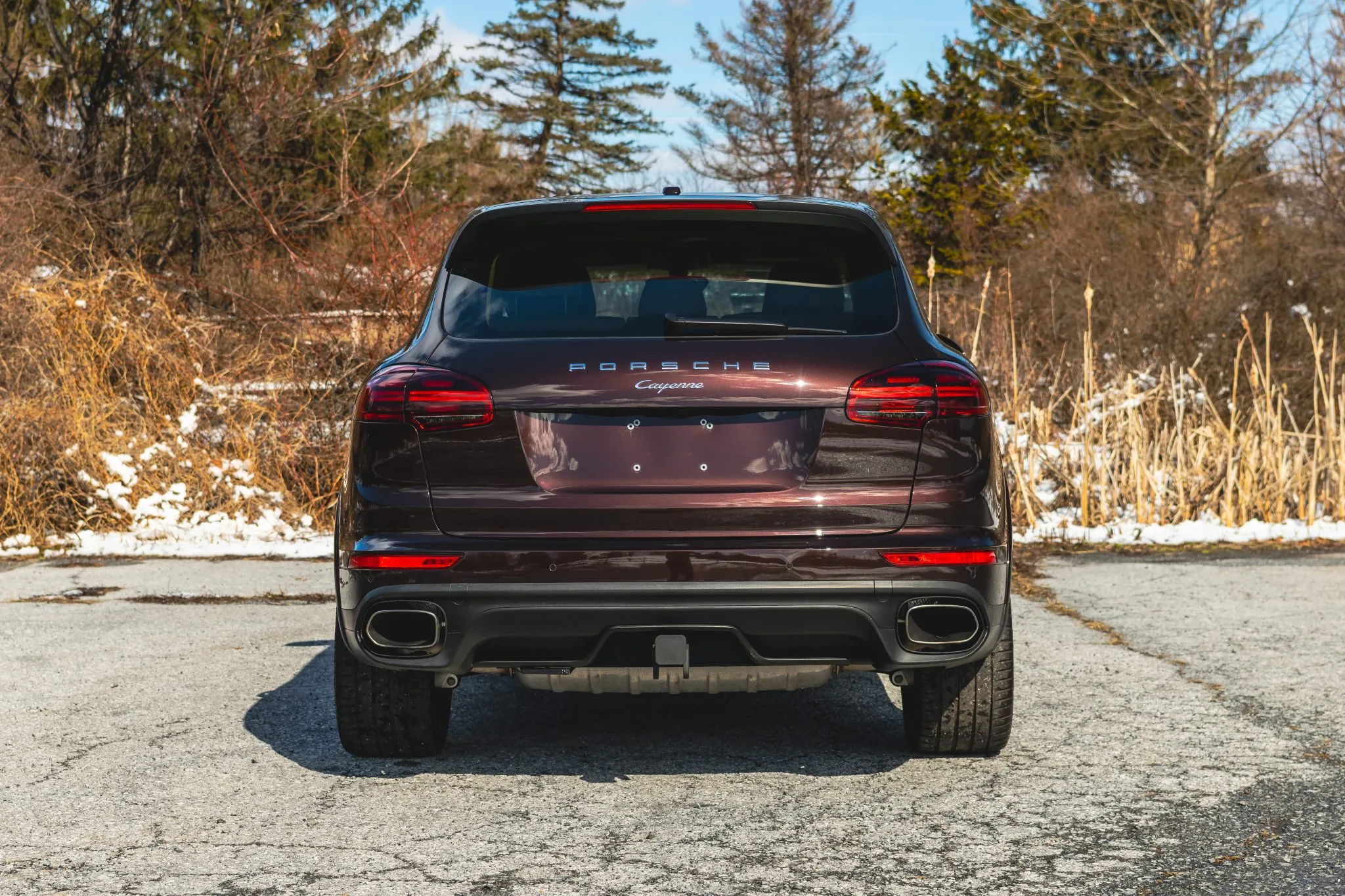 2017 Porsche Cayenne Platinum Edition in Mahogany Metallic