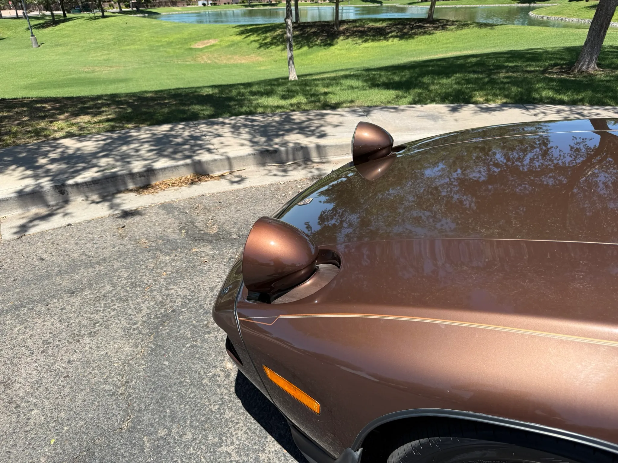 1985 Porsche 928S in Muscat Brown Metallic