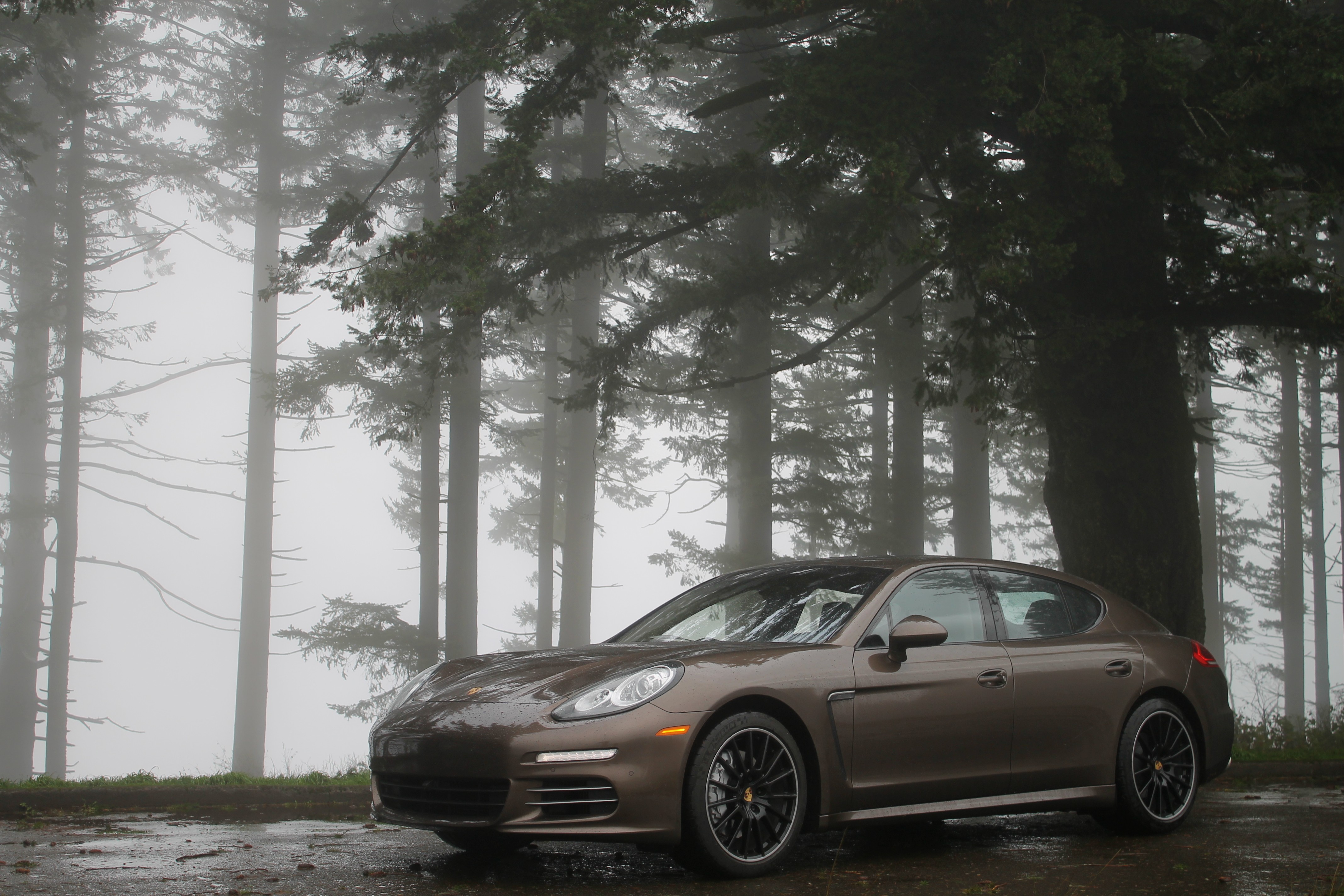 2014 Porsche Panamera 4S in Chestnut Brown Metallic