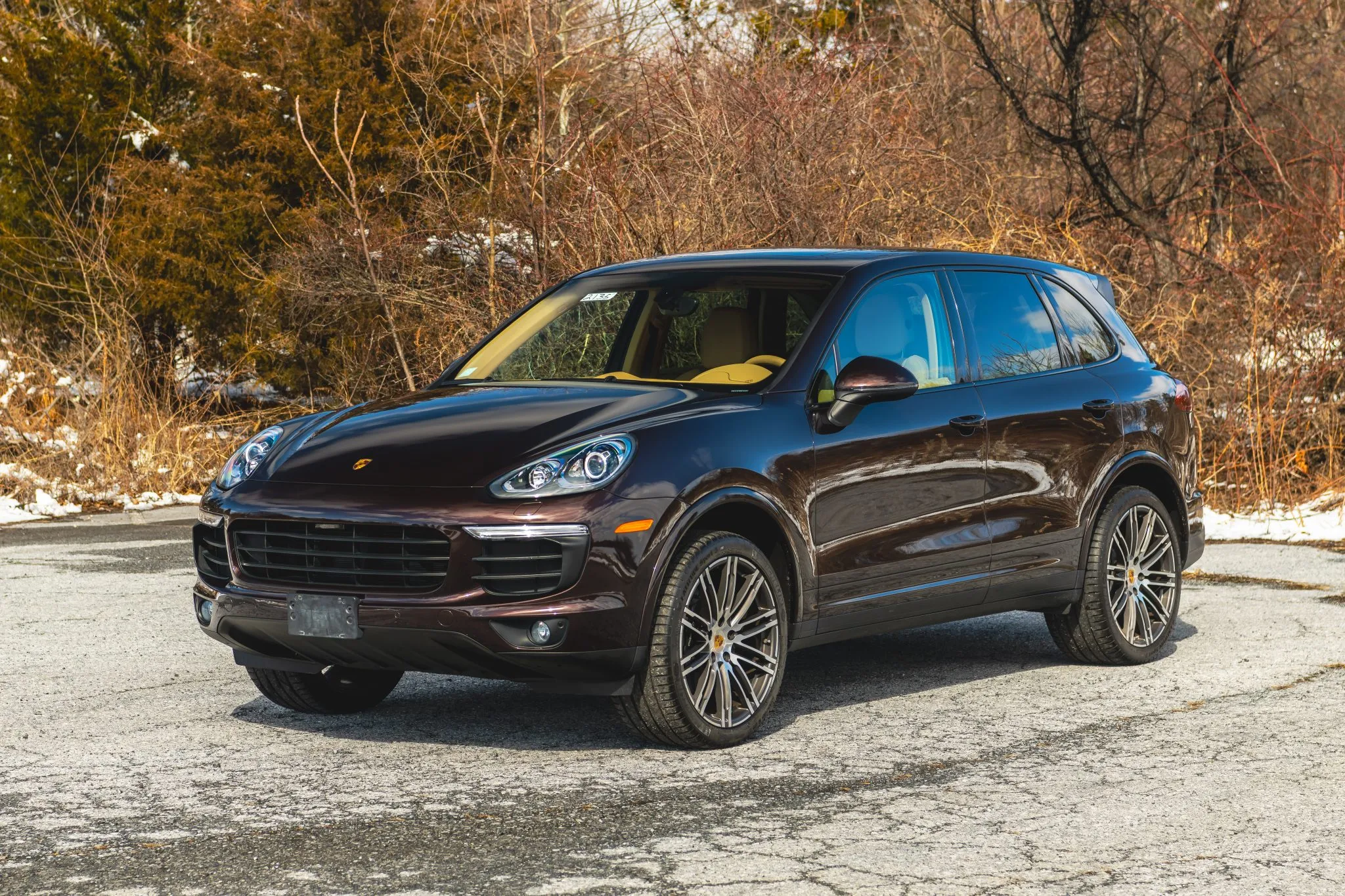 2017 Porsche Cayenne Platinum Edition in Mahogany Metallic