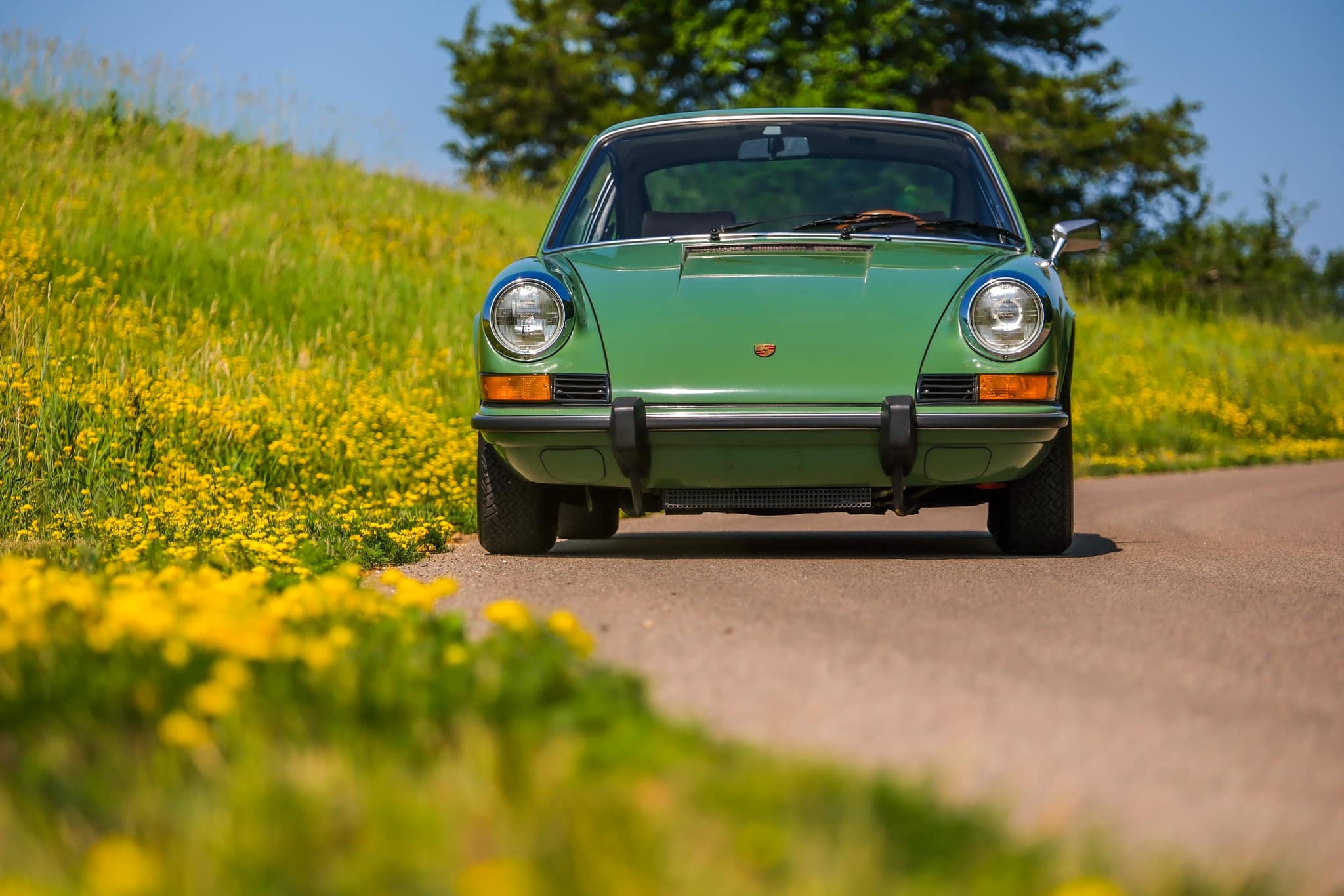 1973 Porsche 911T in Bush (Leaf) Green