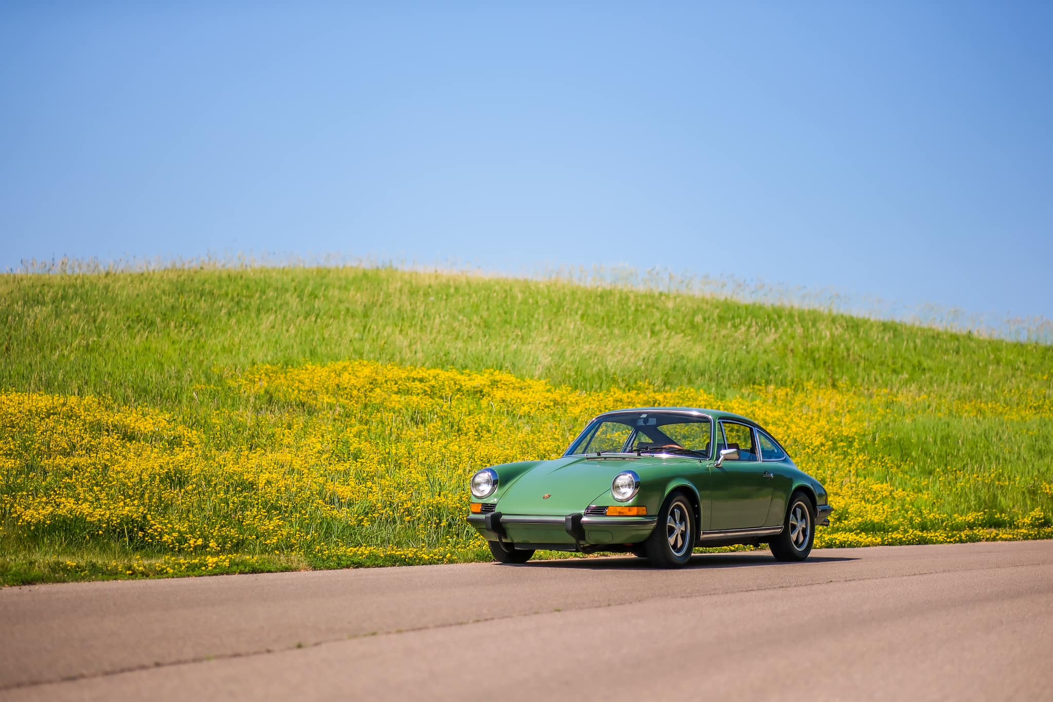 1973 Porsche 911T in Bush (Leaf) Green