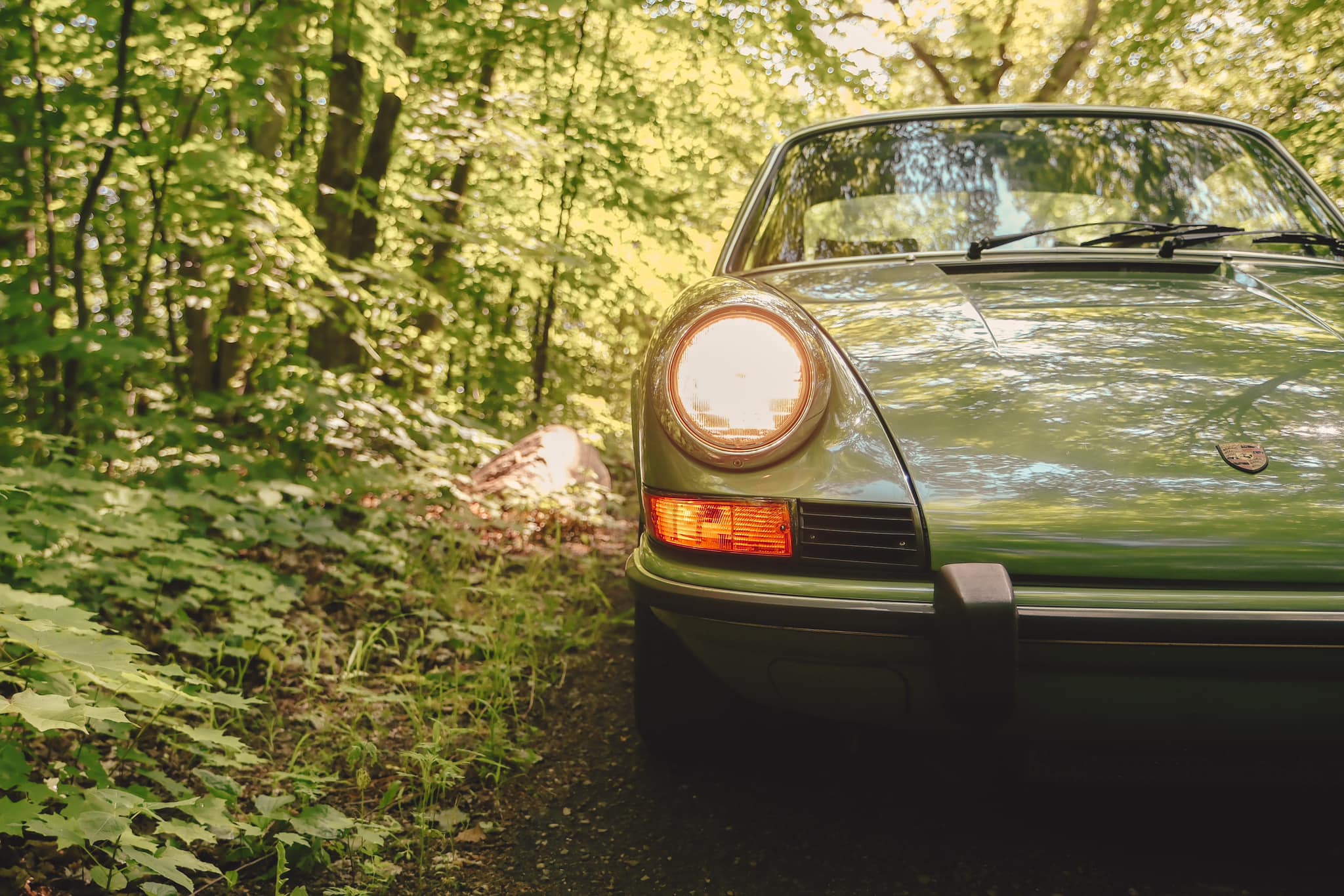 1973 Porsche 911T in Bush (Leaf) Green