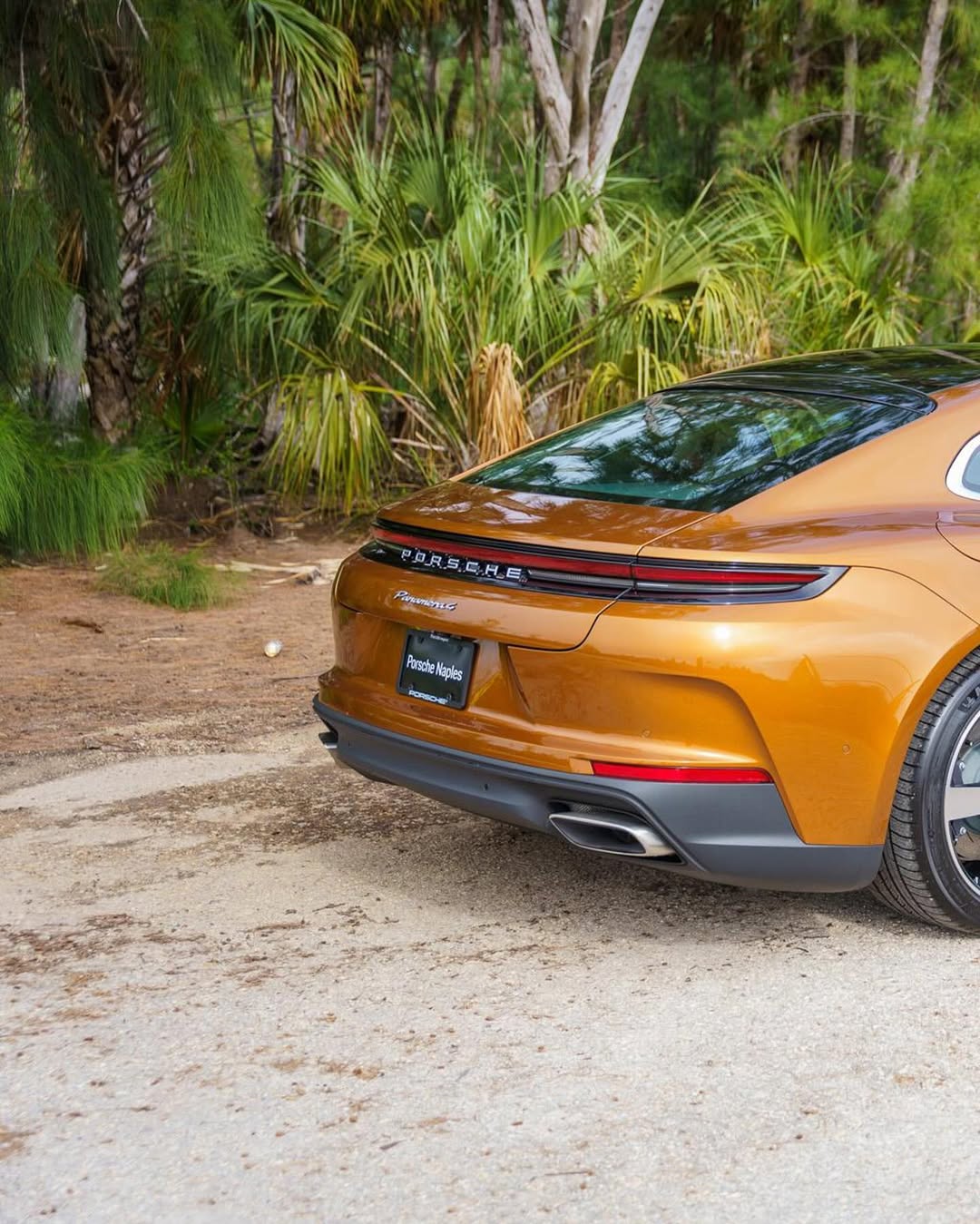 2025 Porsche Panamera 4 in Madeira Gold Metallic