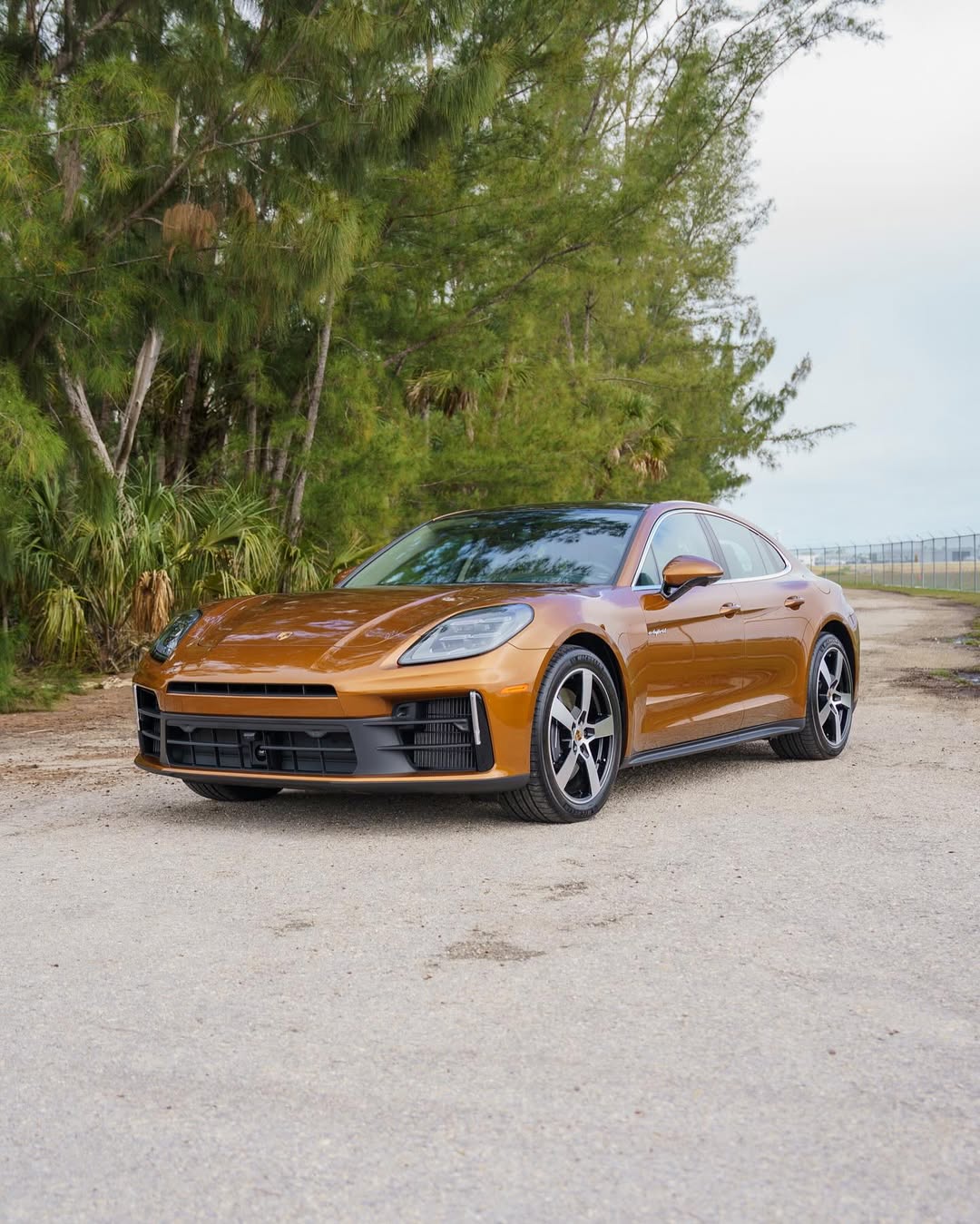 2025 Porsche Panamera 4 in Madeira Gold Metallic