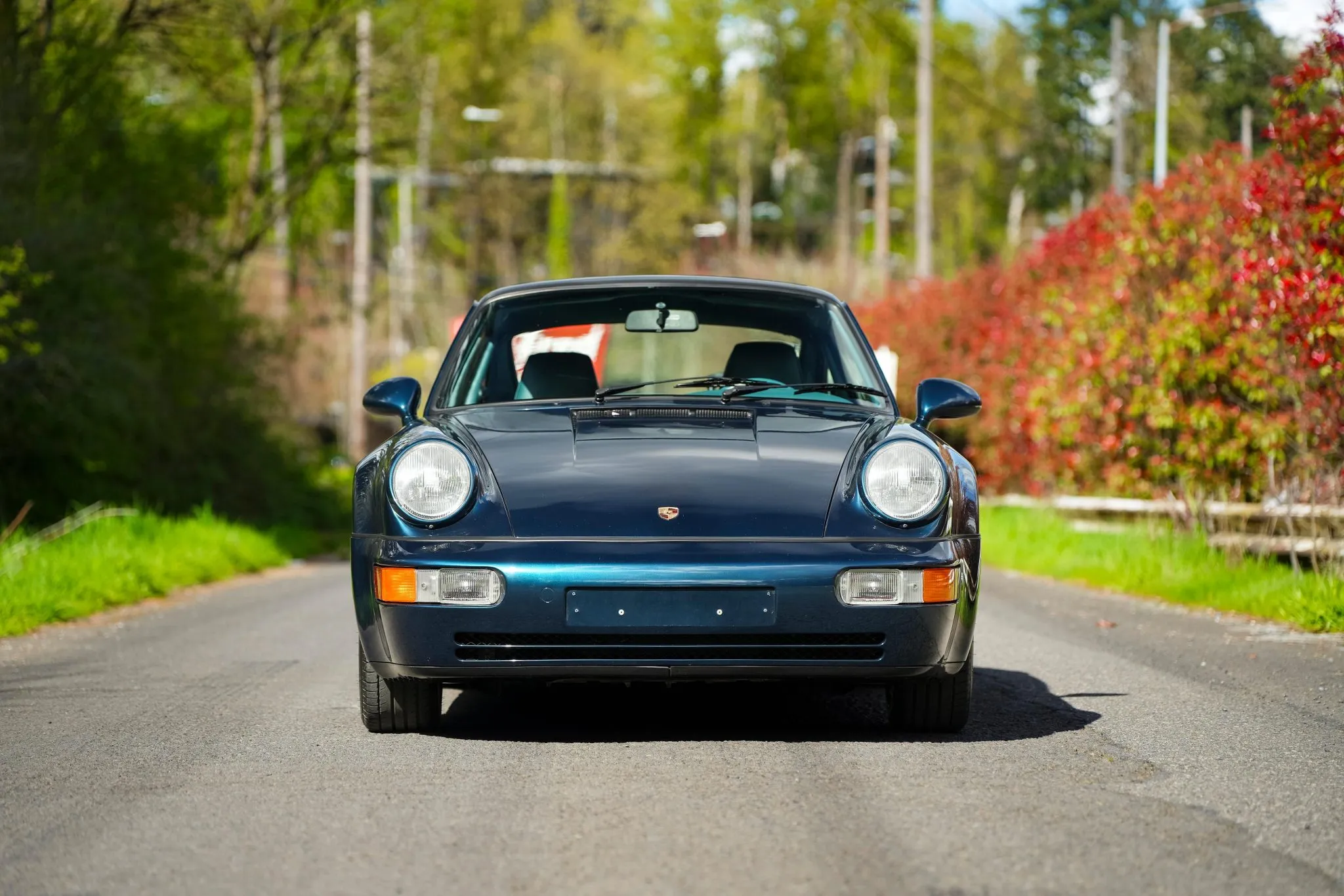 1991 Porsche 911 Turbo in Amazonas Green Metallic