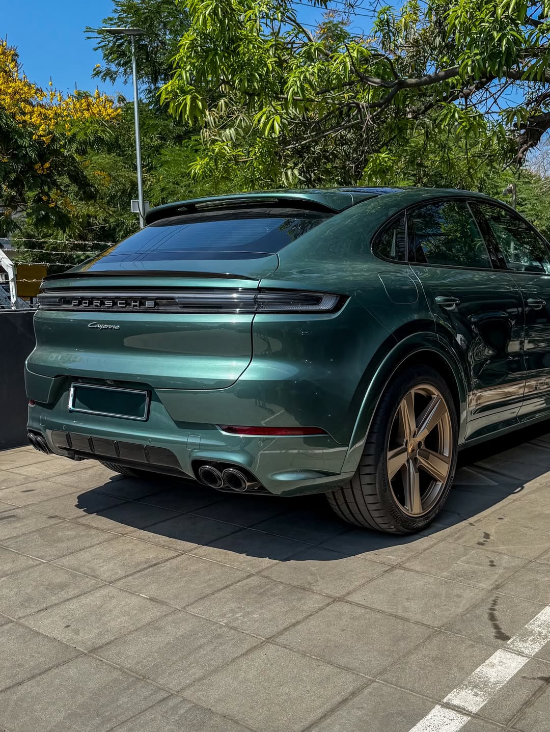 2025 Porsche Cayenne in Morning Dew Green Metallic