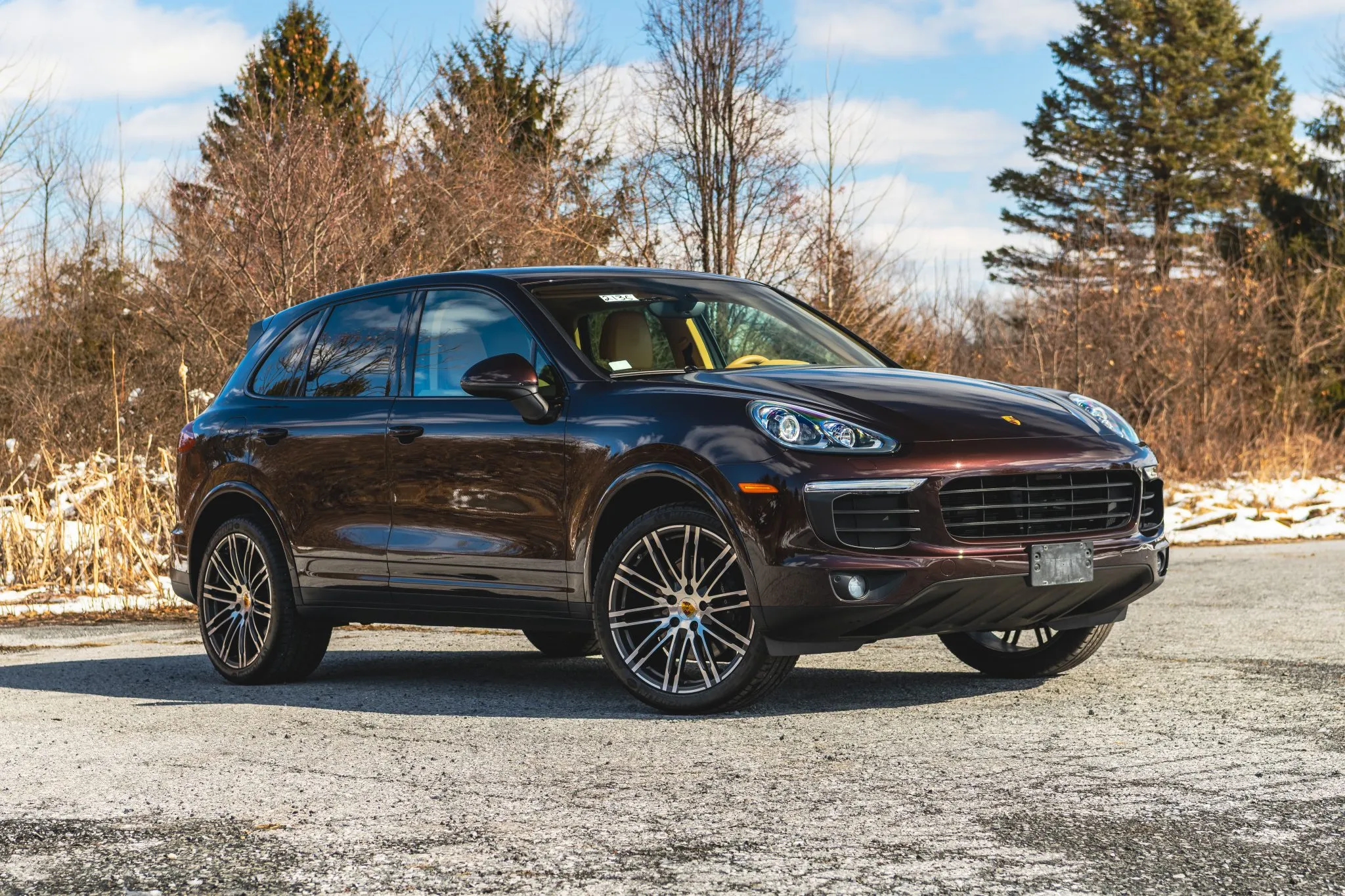 2017 Porsche Cayenne Platinum Edition in Mahogany Metallic