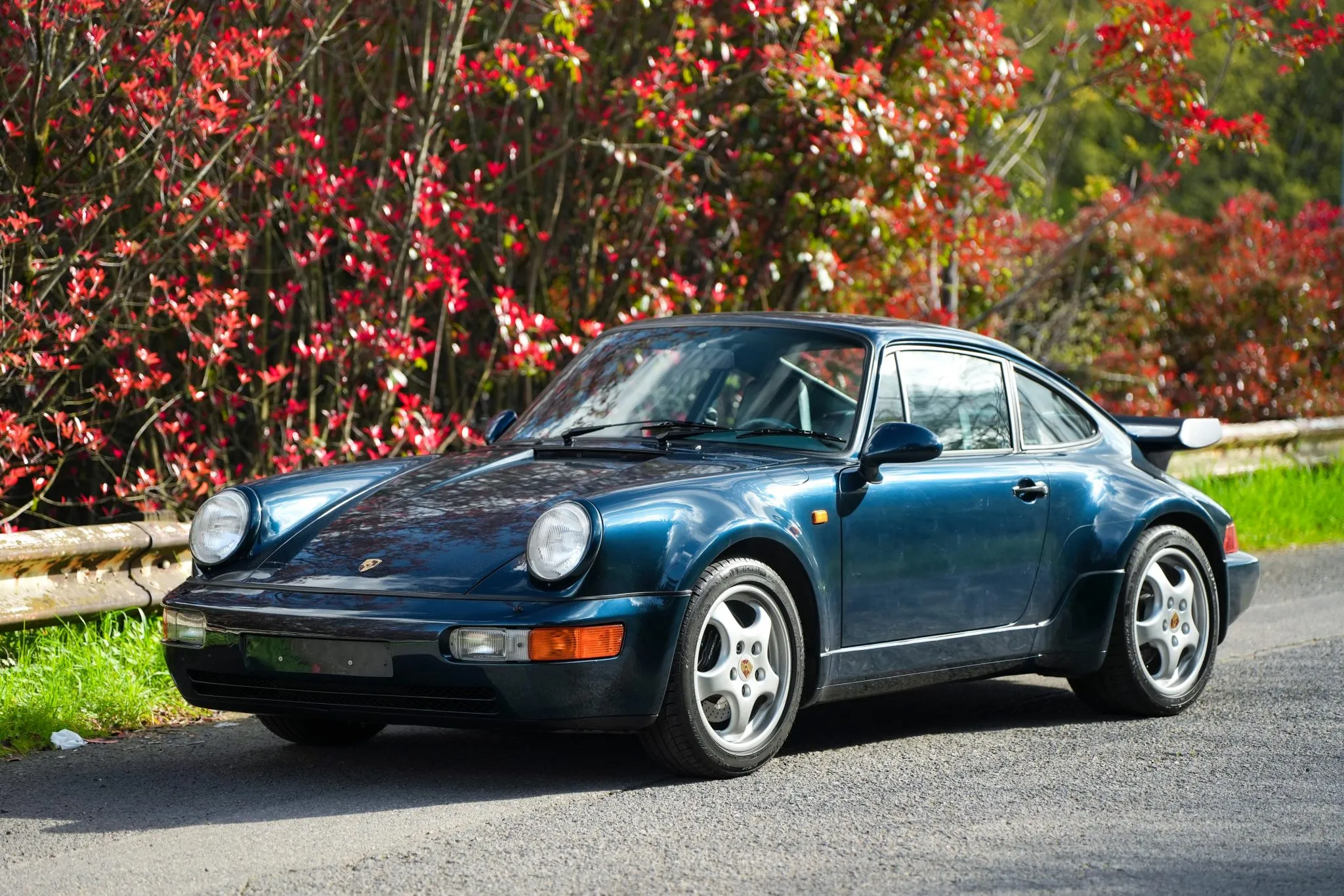 1991 Porsche 911 Turbo in Amazonas Green Metallic