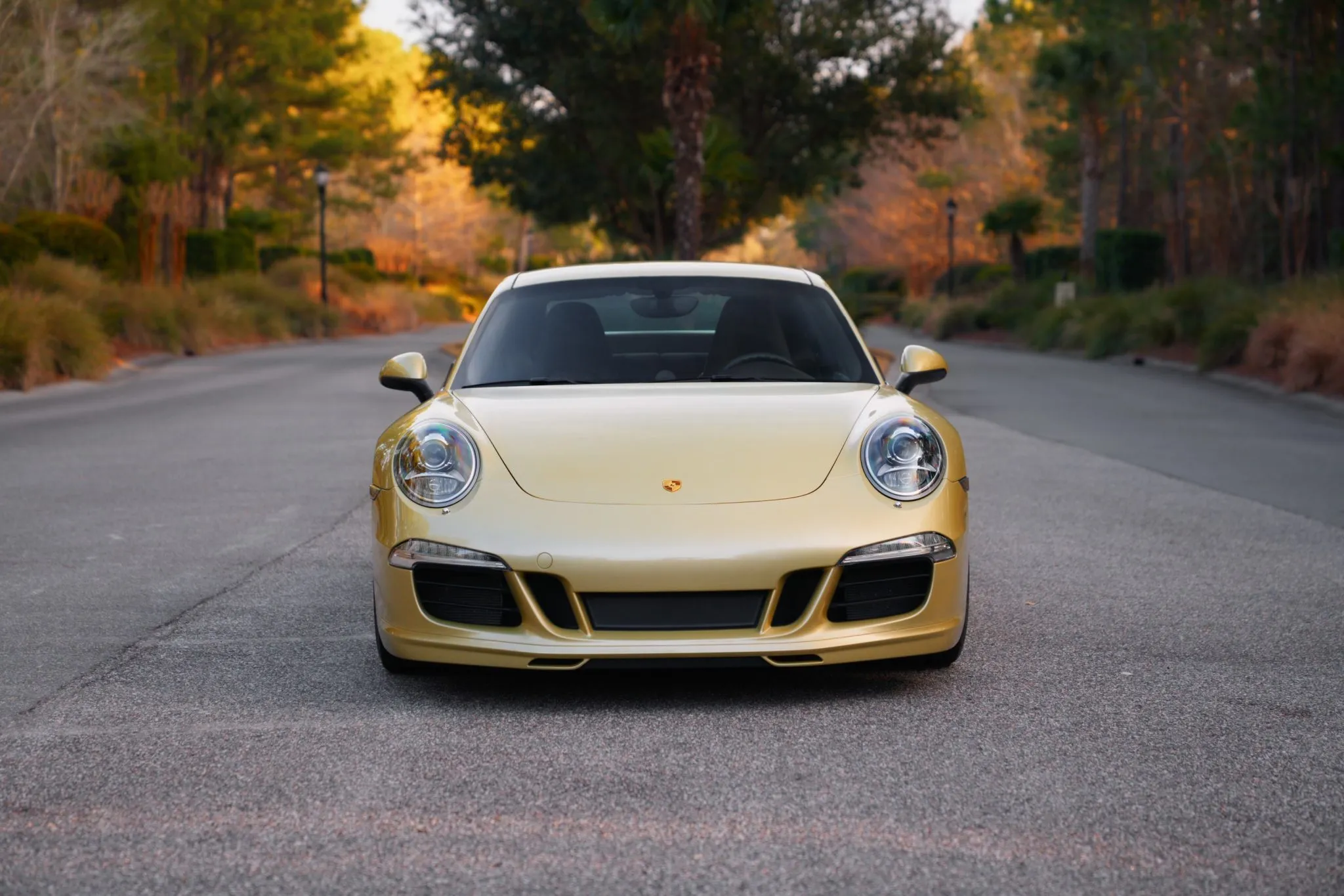 2013 Porsche 911 Carrera S Coupe in Lime Gold Metallic