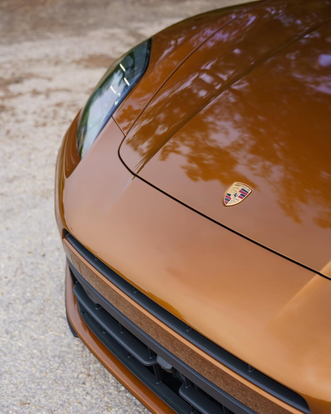 2025 Porsche Panamera 4 in Madeira Gold Metallic