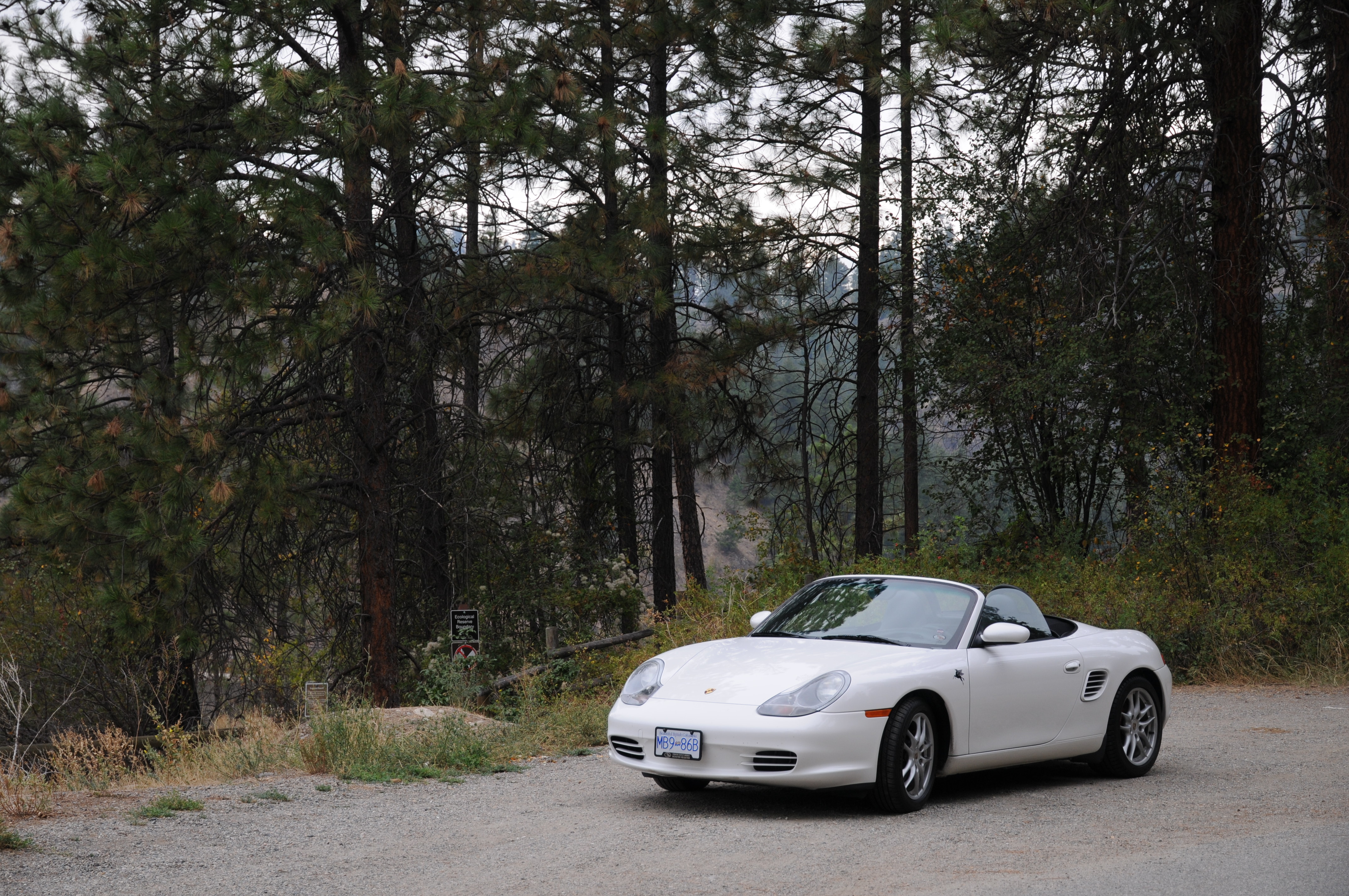 Carrara White (B9A) Porsche Boxster 2003, overcast lighting
