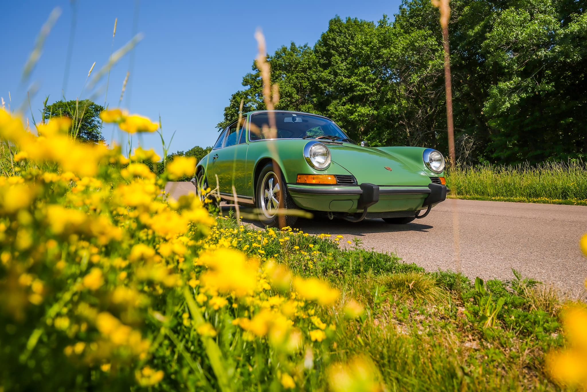 1973 Porsche 911T in Bush (Leaf) Green