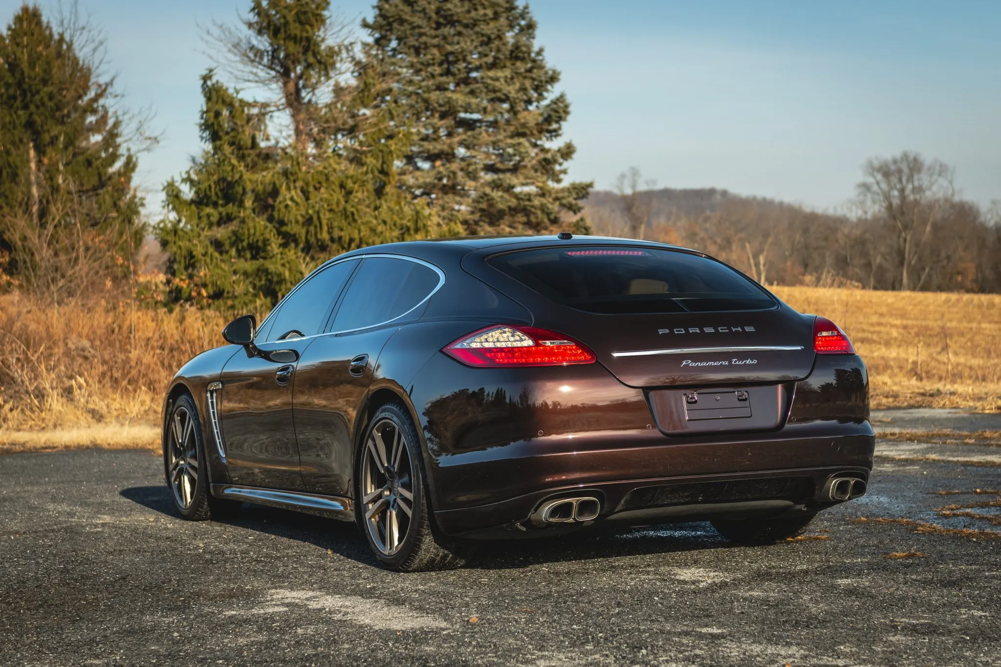 2011 Porsche Panamera Turbo in Mahogany Metallic