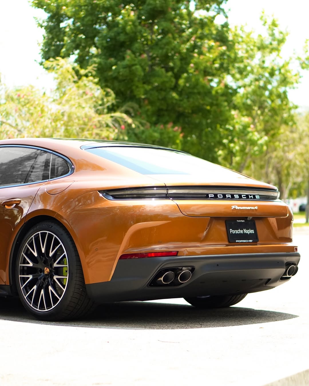 2025 Porsche Panamera 4 in Madeira Gold Metallic