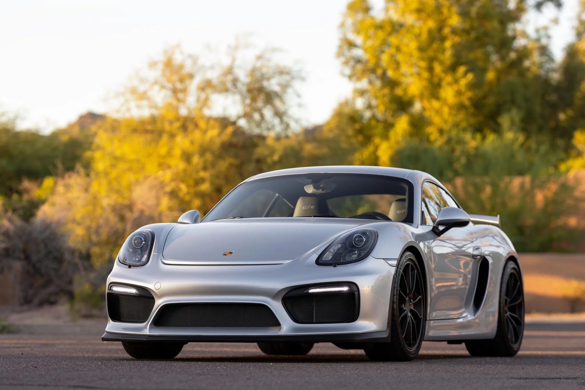 2016 Porsche Cayman GT4 in Rhodium Silver Metallic