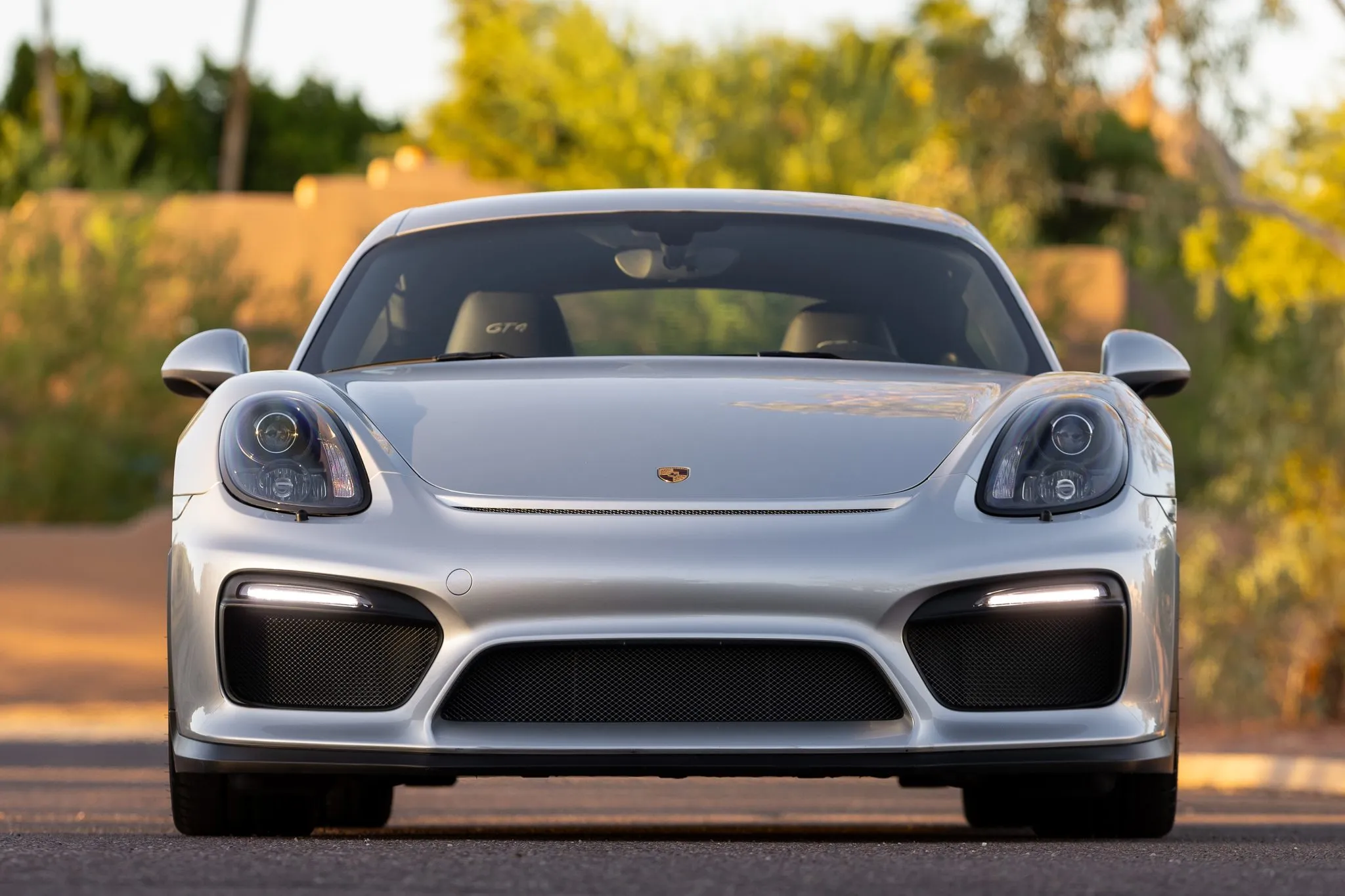 2016 Porsche Cayman GT4 in Rhodium Silver Metallic