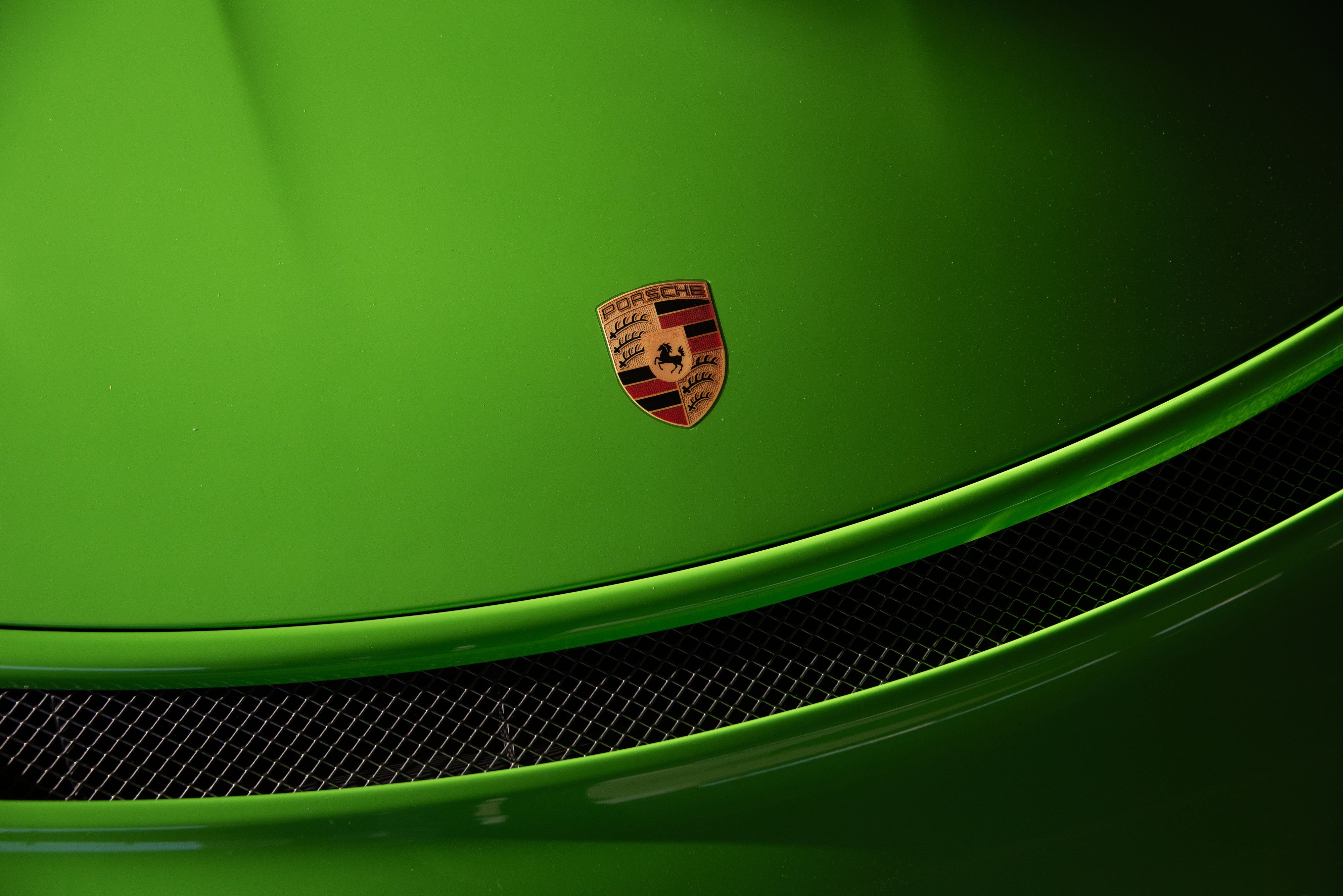 2019 Porsche 911 GT3 RS in Lizard Green