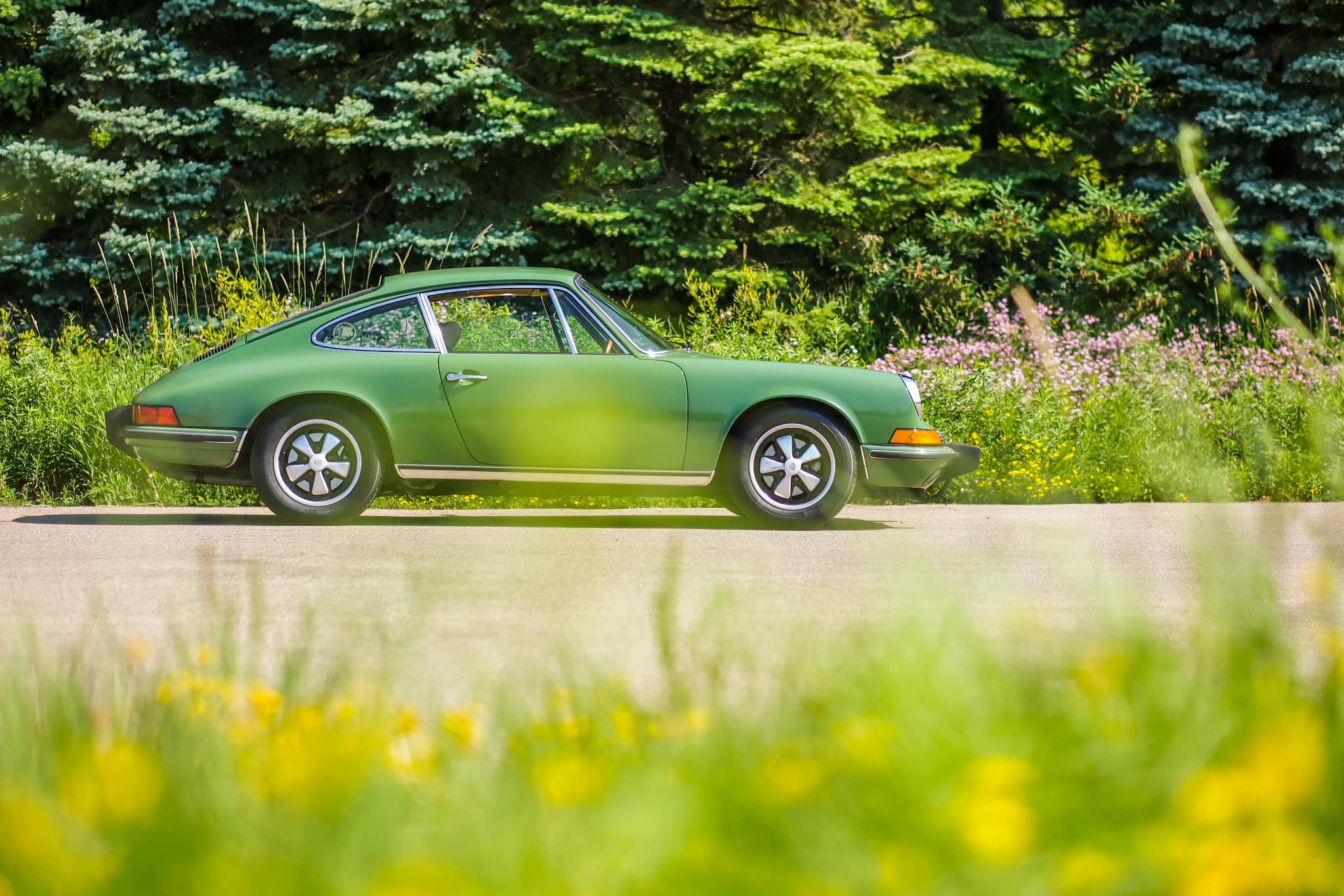 1973 Porsche 911T in Bush (Leaf) Green