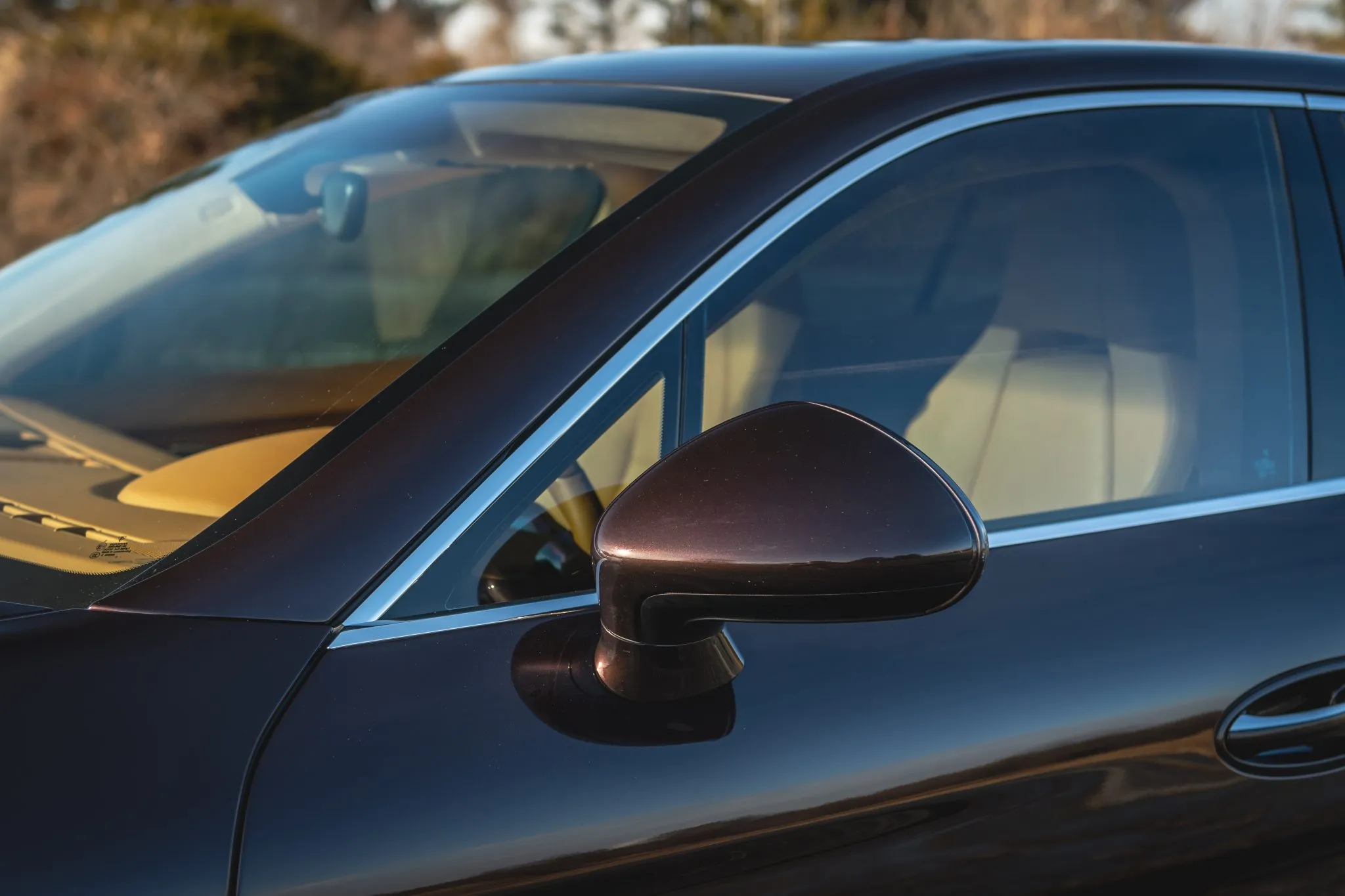 2011 Porsche Panamera Turbo in Mahogany Metallic