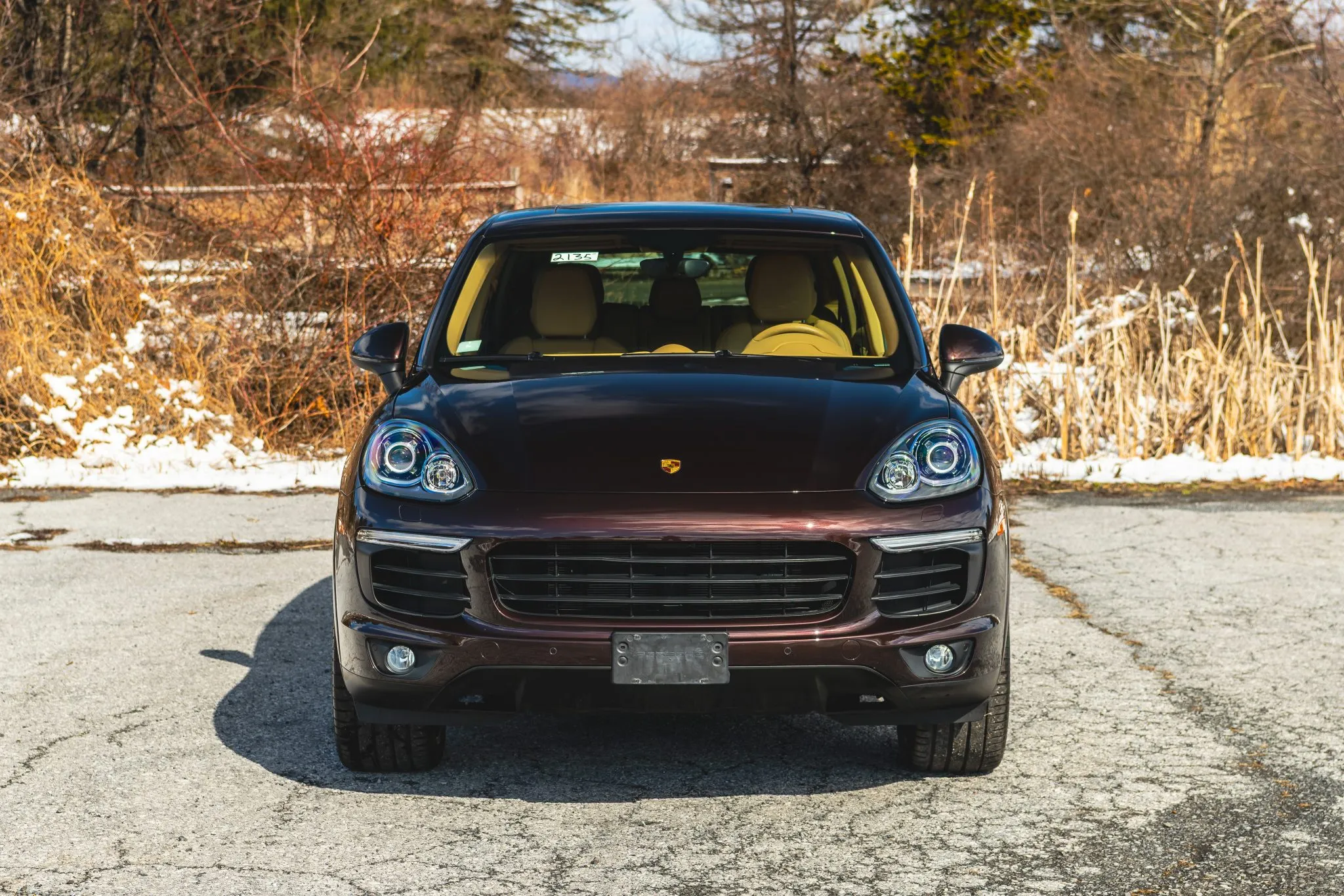 2017 Porsche Cayenne Platinum Edition in Mahogany Metallic
