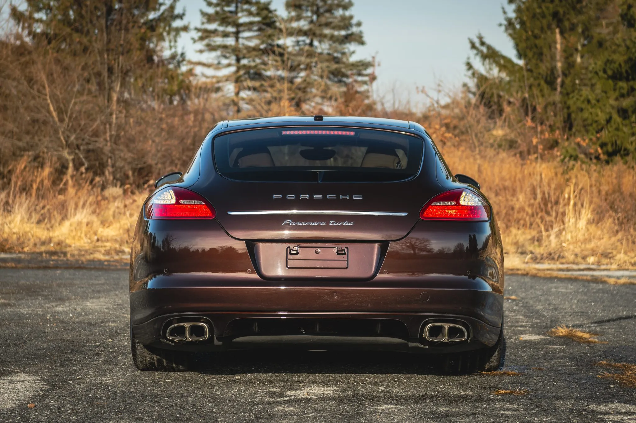2011 Porsche Panamera Turbo in Mahogany Metallic
