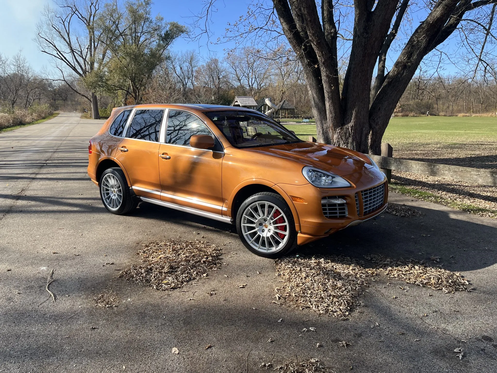 2009 Porsche Cayenne Turbo S in Nordic Gold Metallic