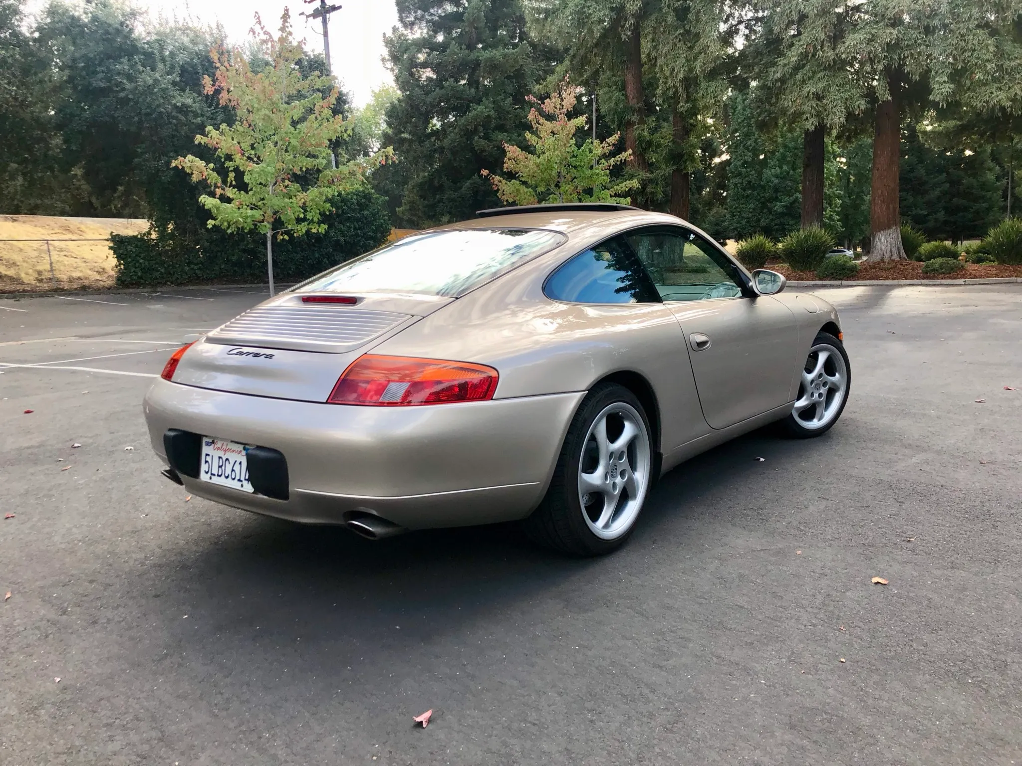 1999 Porsche 911 Carrera Coupe in Palladio Metallic
