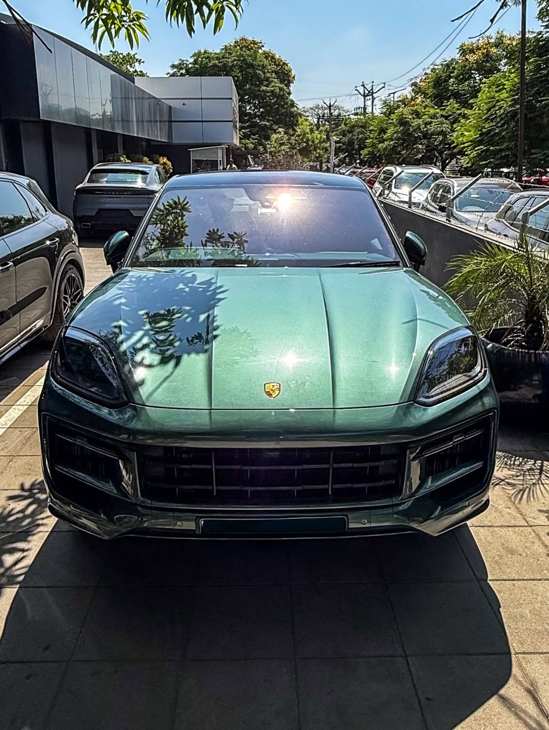2025 Porsche Cayenne in Morning Dew Green Metallic