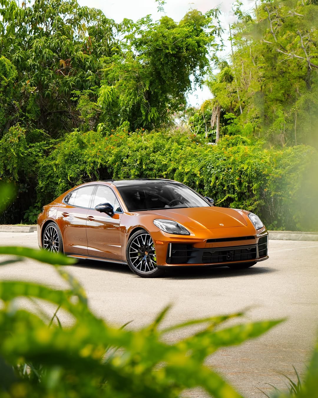 2025 Porsche Panamera 4 in Madeira Gold Metallic